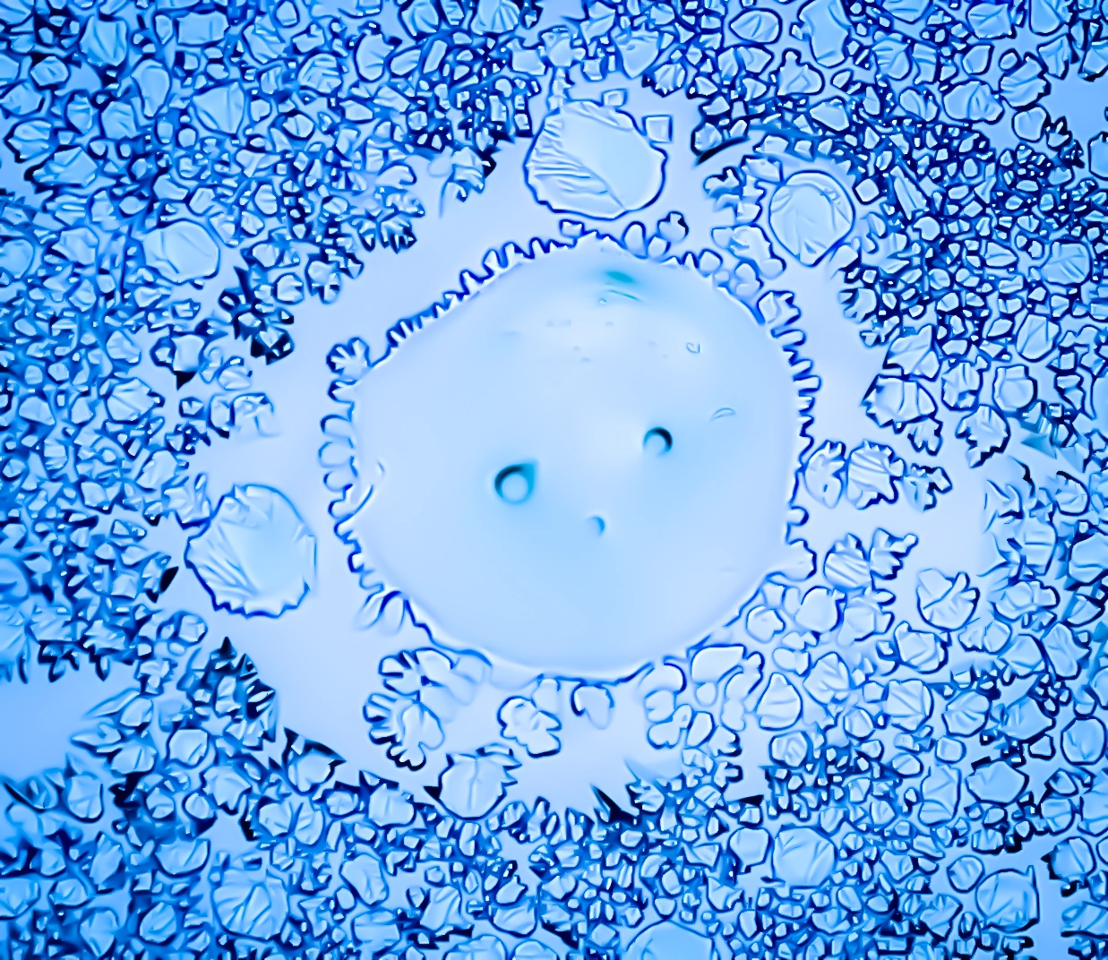 Smiley révélé au cœur d'un cristal d'eau gelée. Exploration photographique de la mémoire de l'eau, de sa structure quantique et de sa capacité à manifester la joie à travers ses domaines de cohérence moléculaire.