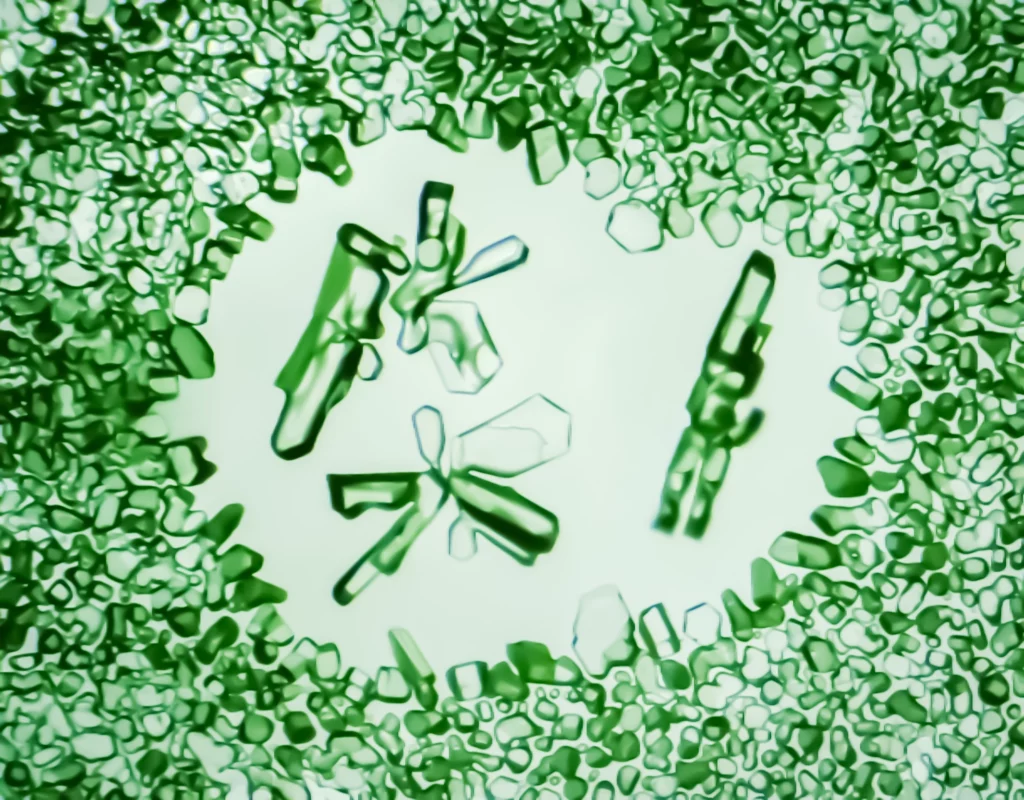 L'amour possède sa propre fréquence vibratoire, visible dans ce cœur d'eau. Cette photographie scientifique et romantique démontre comment les émotions positives organisent la matière. Une preuve visuelle de la résonance quantique entre nos sentiments et la structure de l'eau, messagère de nos intentions. Mots-clés : fréquence amour, vibration positive, organisation matière, preuve quantique