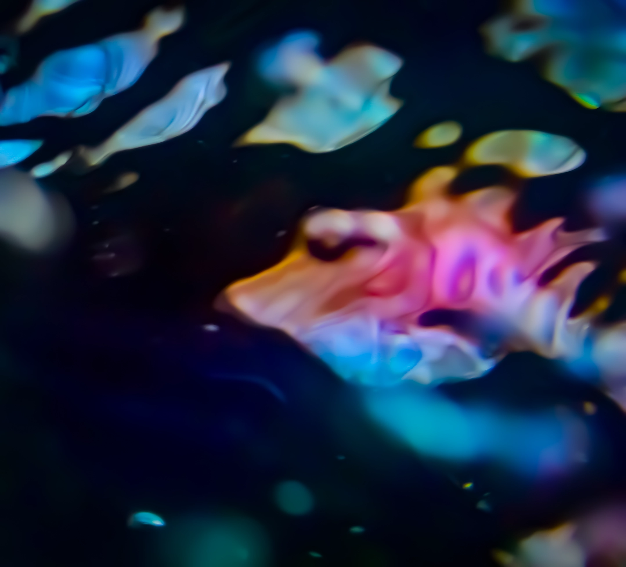 Voyage microscopique dans l'univers de l'eau : formes cosmiques et structures énigmatiques. Photographie scientifique artistique révélant la magie aquatique. Waterphoto.